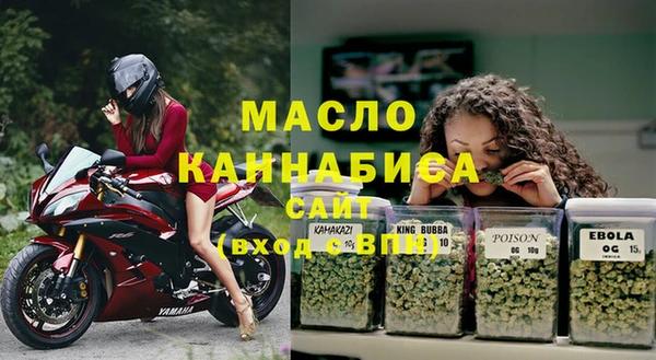 шишки Белоозёрский