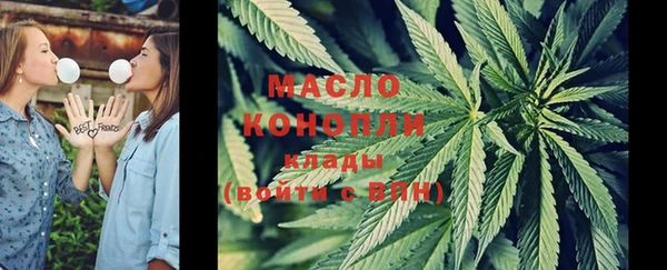 дмт Белокуриха