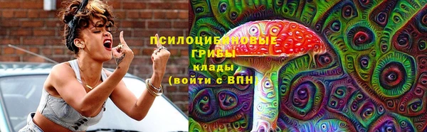 дмт Белокуриха