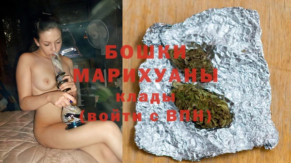 шишки Белоозёрский