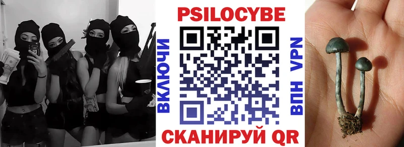 Псилоцибиновые грибы Psilocybe  Удачный 